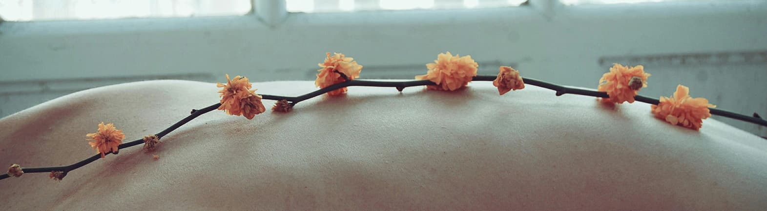 Peacefull lemons on the call to action section